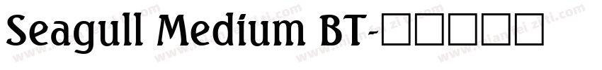 Seagull Medium BT字体转换